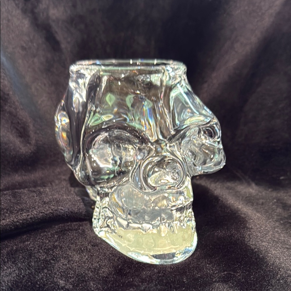 Crystal Skull Glass Art Piece